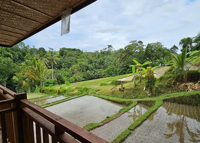 Umauthu Bali Selemadeg
