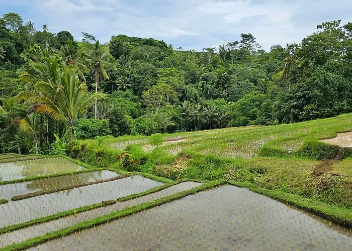 Umauthu Bali ロッジ
